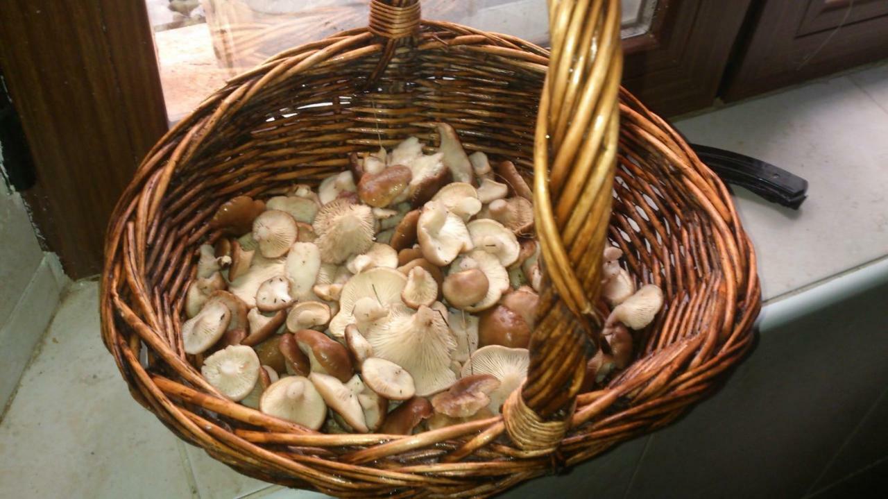 Hotel Rural Grado Del Pico Zewnętrze zdjęcie